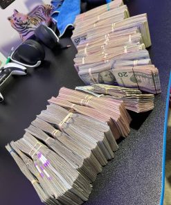 US Dollar Fake Notes